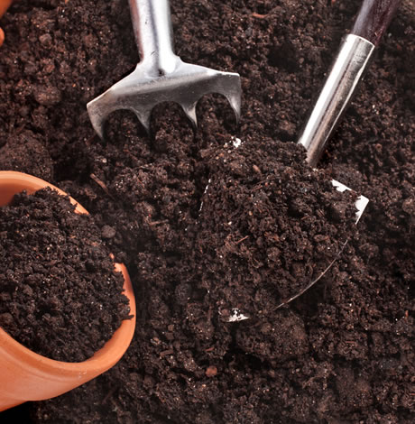 Zemina pro zahrádkáře